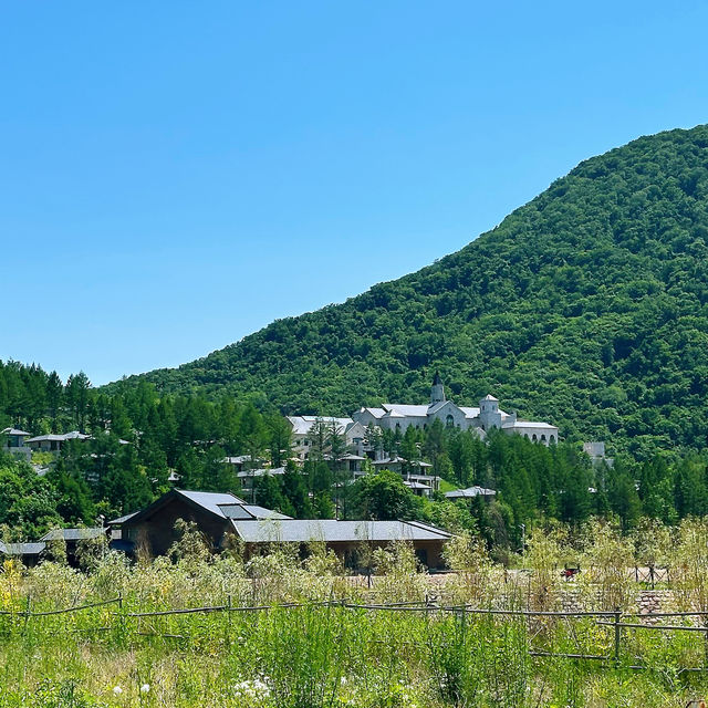 夏日避暑首選 - 隱藏喺東北山溝嘅溫泉泳池度假酒店