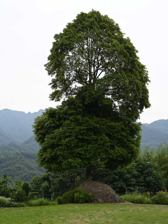 高橋里｜搵到理想嘅山水田園隱居目的地