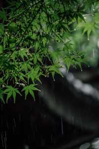 帶娃暴走金華山野｜解鎖親子遊隱藏副本！