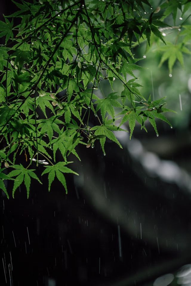 帶娃暴走金華山野｜解鎖親子遊隱藏副本！