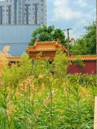 中國現存唯一嘅明代藩王宗廟·太原皇廟