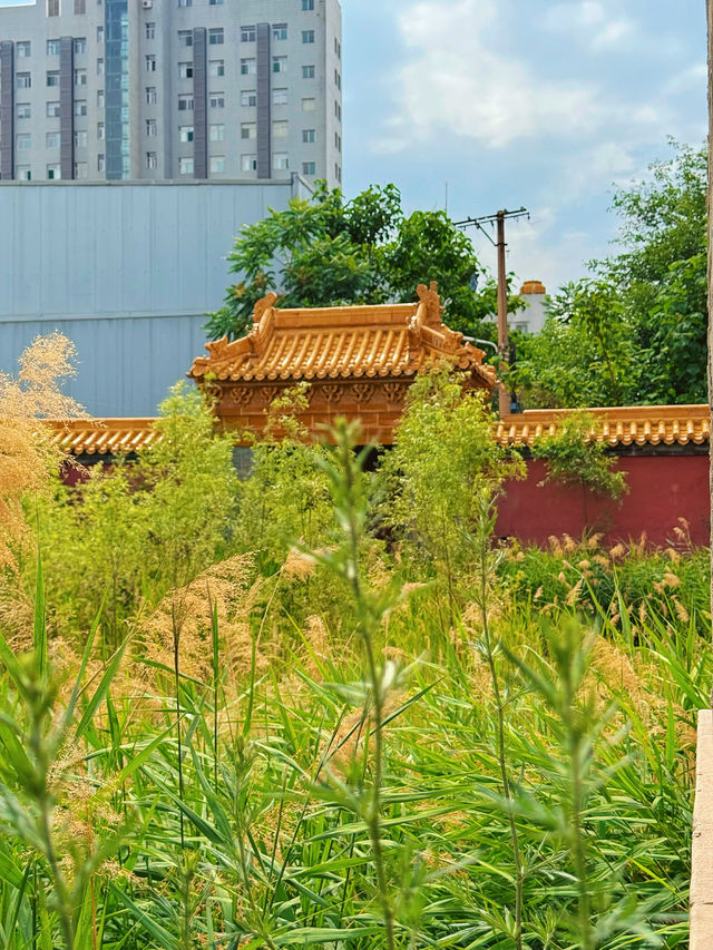中國現存唯一嘅明代藩王宗廟·太原皇廟