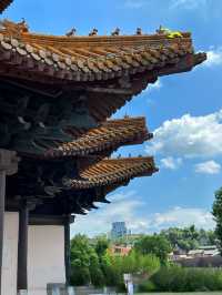 陶陽里景德鎮往呢度睇。嚟學手藝
