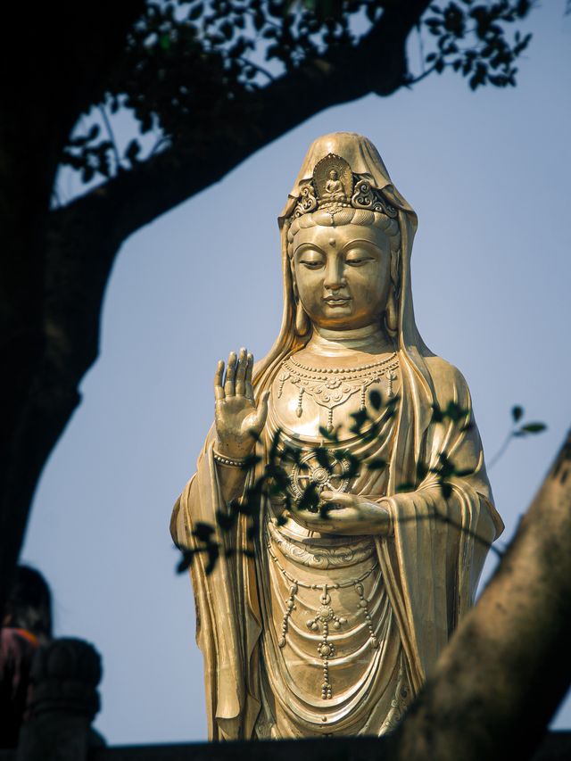 高考放榜撞大運！普陀山求得金榜題名符