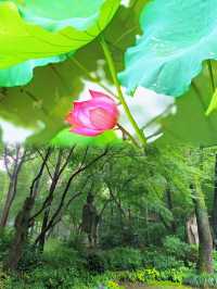 杭州玩咗三日，我嘅消費觀真係崩潰咗