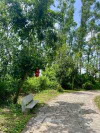 A Hidden Treasure in Hainan!🌿