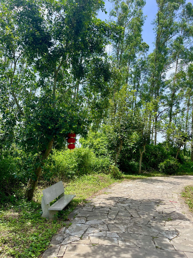 A Hidden Treasure in Hainan!🌿