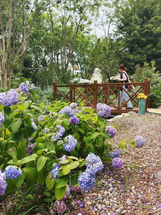 拾光森林小院 ，溫江消磨時光好去處