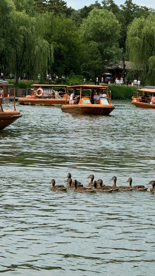 即可以避暑、影相又靚嘅神仙地方
