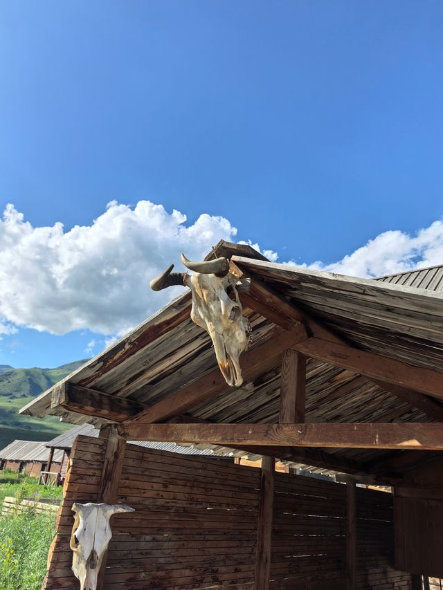大美新疆