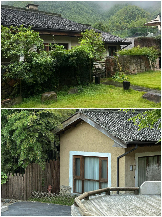 剛從莫干山返嚟，講啲真心話