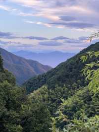 麗水深山秘境 | 住進90後小伙的「春曉」烏托邦