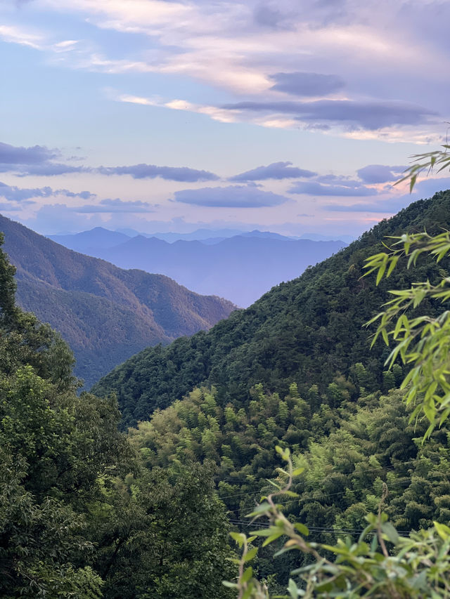 麗水深山秘境 | 住進90後小伙的「春曉」烏托邦