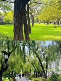 太原本地人推薦 | 迎澤公園保姆級攻略