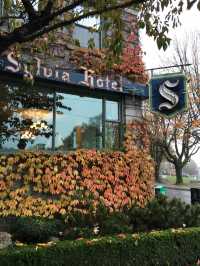 西爾維亞酒店 | 經典魅力X溫哥華探秘   酒店：西爾維亞酒店（Sylvia Hotel） 