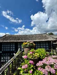 沉浸式體驗麗江山水花草美墅
