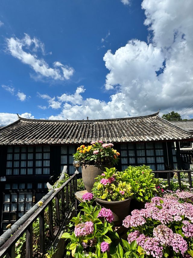 沉浸式體驗麗江山水花草美墅