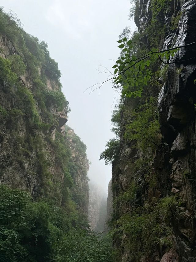 腳軟警告！｜神潭大峽谷全攻略