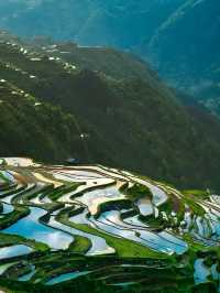加榜梯田漫遊：在層層綠意裡拾光而行 