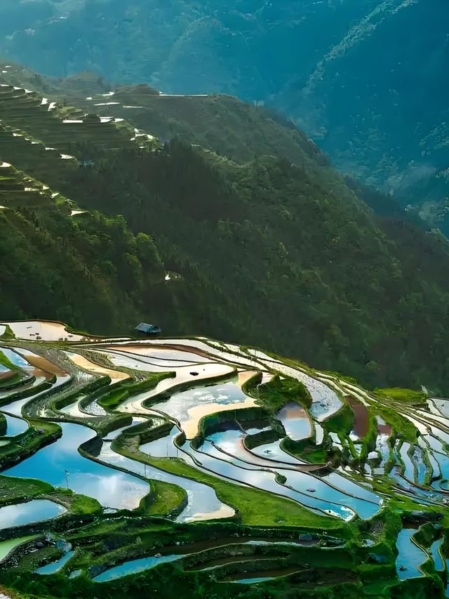 加榜梯田漫遊：在層層綠意裡拾光而行 