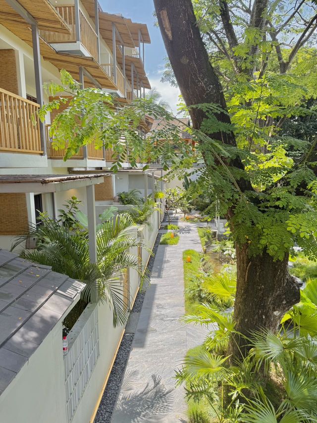西雙版納|住喺呢種酒店邊個仲想出門啊喂！！！