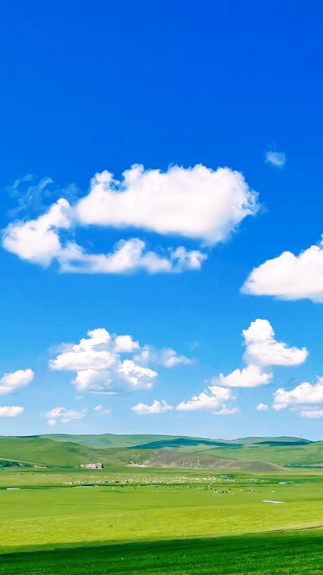 老外都驚訝！呼倫貝爾憑咩紅遍全球？真相嚟啦！