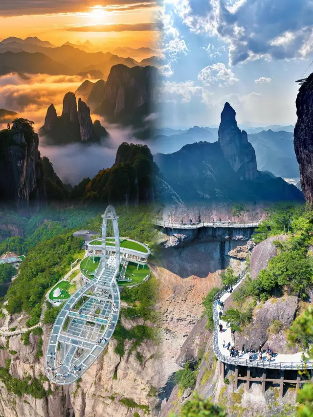 24-Hour Immortal Cultivation Guide to Shenxianju: The Ultimate Tug-of-War Between Cable Cars and Knees