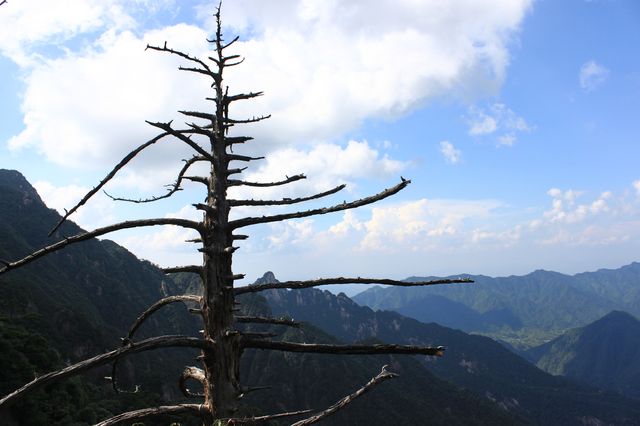 三清山|雲端仙境!道教聖地 三清山|雲端仙境!道教聖地