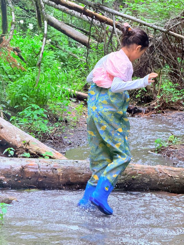 長白山3日2夜避暑全攻略22℃夏日仙境治癒指南