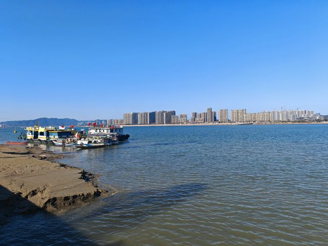 嘉善+嘉興+無錫 11日遊