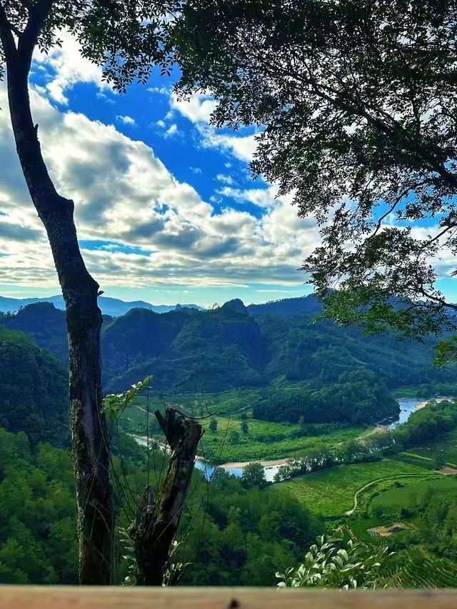 武夷山：被3.4億人圍觀的仙境，每一幀都美到窒息！