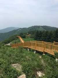22℃的夏天!華北最大白樺林+冰川石海,這個避暑秘境藏不住了!   寶貝們!我不允許還有人沒去過