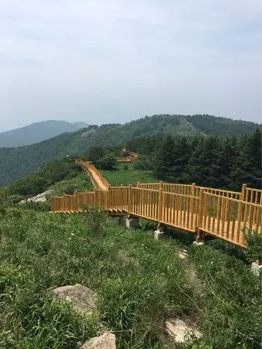 22℃的夏天!華北最大白樺林+冰川石海,這個避暑秘境藏不住了!   寶貝們!我不允許還有人沒去過 22℃的夏天!華北最大白樺林+冰川石海,這個避暑秘境藏不住了!   寶貝們!我不允許還有人沒去過