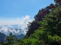 黃山美景帶娃輕鬆遊