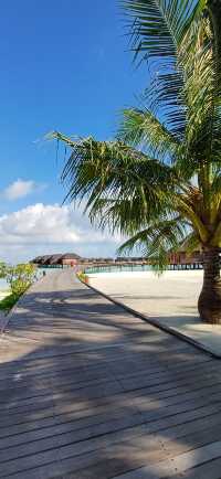 Paradise on Earth: Sun, Sea, and Luxury
