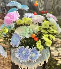 菊綻世博與雅宿流光:瀋陽世博園與豪澤希芮迪
