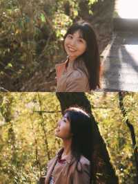 湖北神農架+三峽彩林賞秋自駕攻略