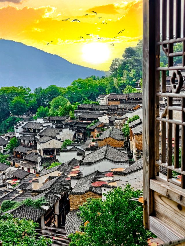 婺源篁嶺：雲霧中的600歲水墨仙境