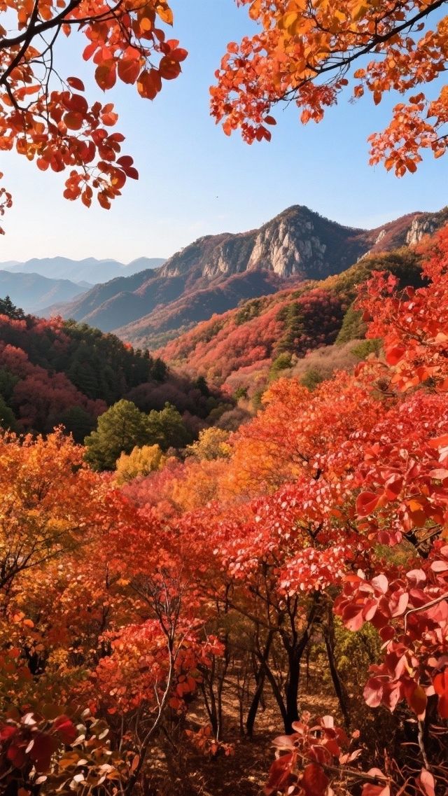 北京人私藏的秋天，居然藏在這座山裡，錯過等一年
