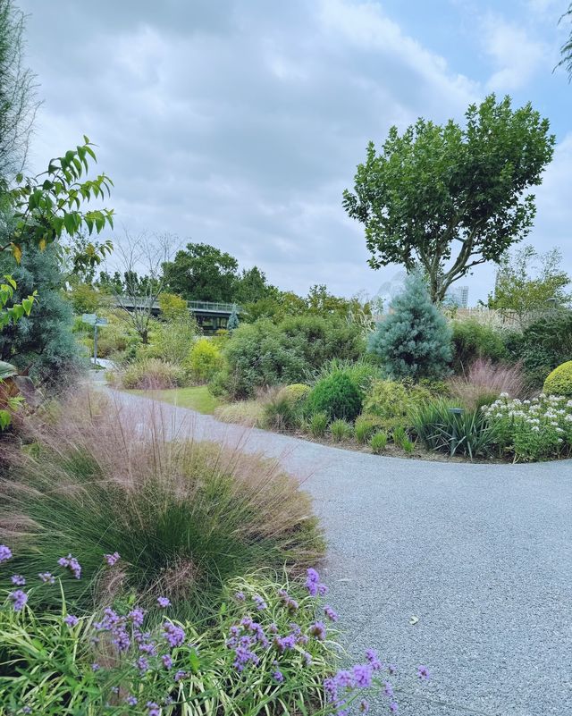 童話裡的小屋，上海植物園秋日兔子派對