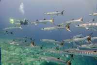 Top Maldives Resort Experience