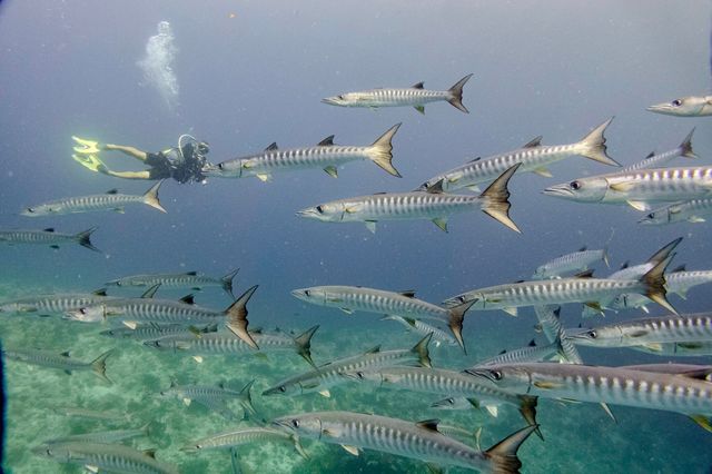 Top Maldives Resort Experience