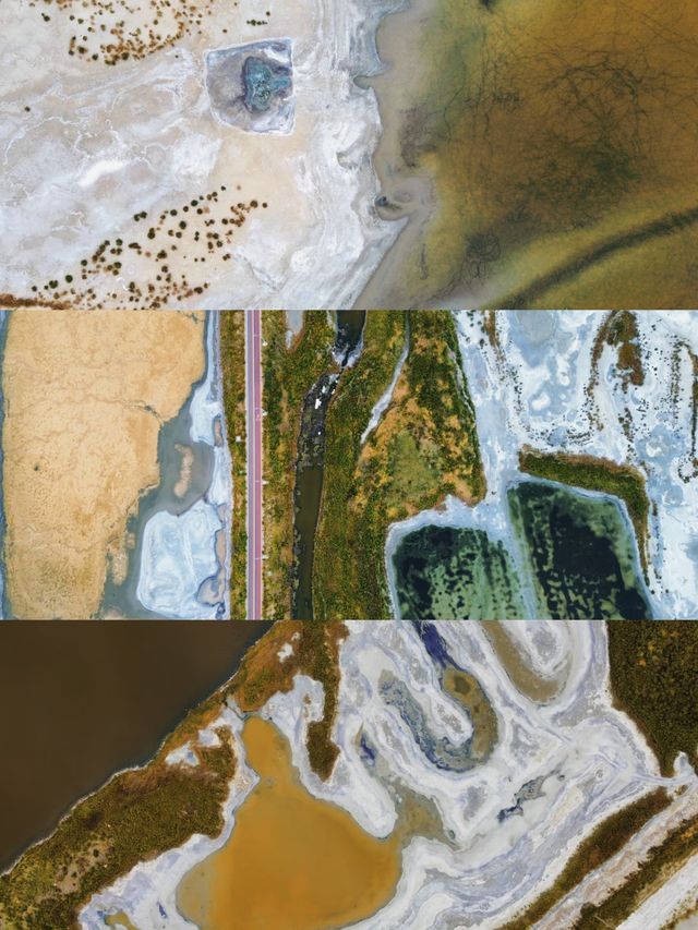 運城鹽湖の秋 粉晶鹽灘漫天金葦！