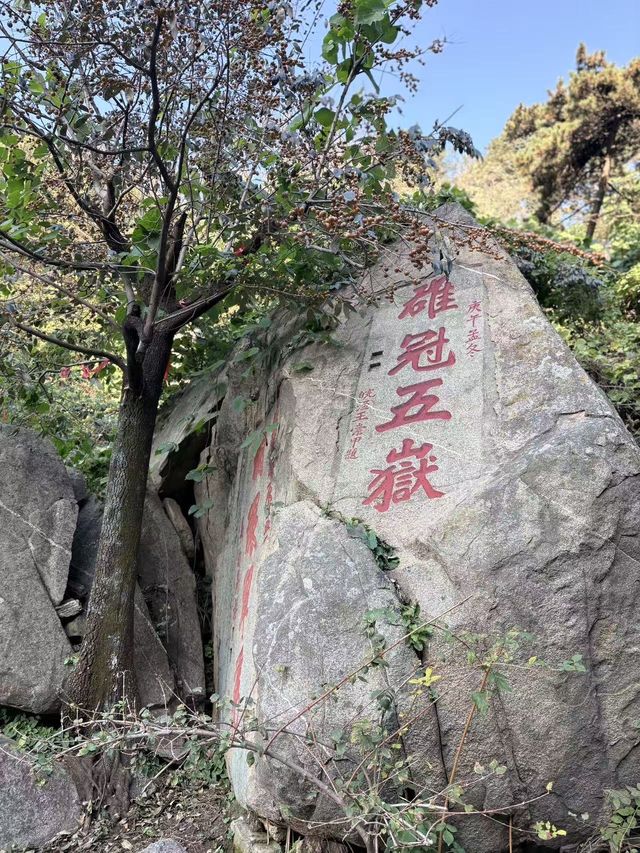 泰山之巔神仙打卡攻略玉皇頂