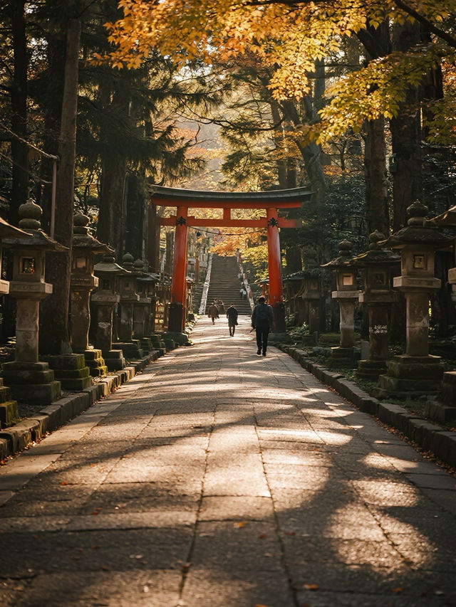 關西五日繪卷|收集古都的千年物語 關西五日繪卷|收集古都的千年物語