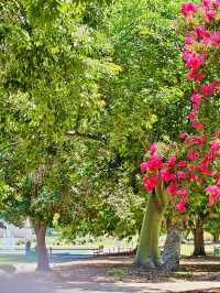 洛杉磯植物園 孔雀園 蓋蒂中心 天文台
