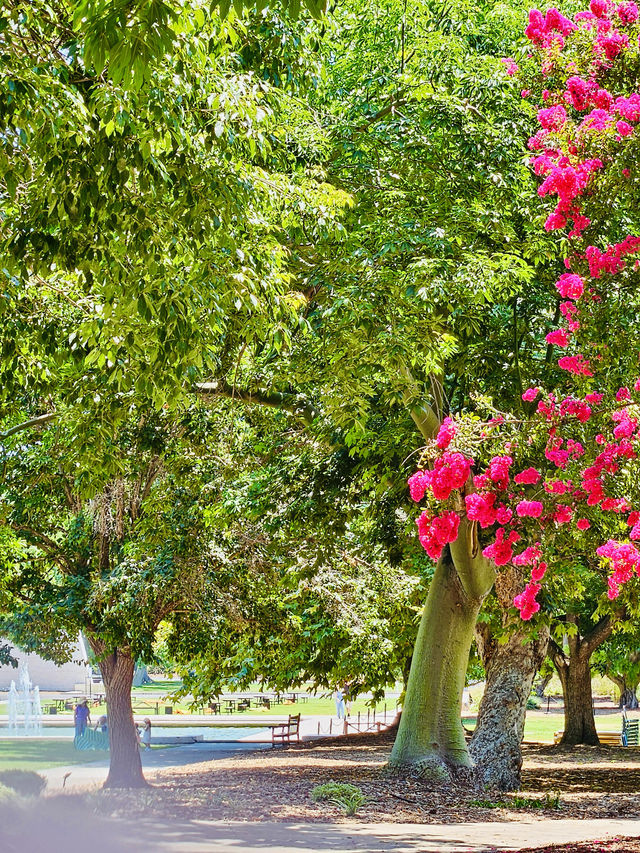 洛杉磯植物園 孔雀園 蓋蒂中心 天文台