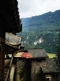三峽仙境大揭秘！高峽平湖美翻天，偶遇猴哥太可愛啦！
