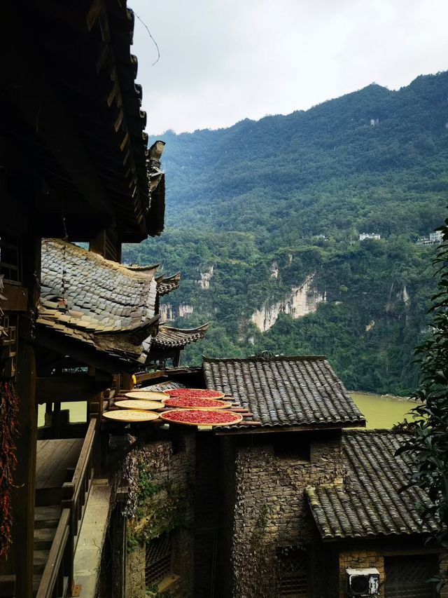 三峽仙境大揭秘！高峽平湖美翻天，偶遇猴哥太可愛啦！