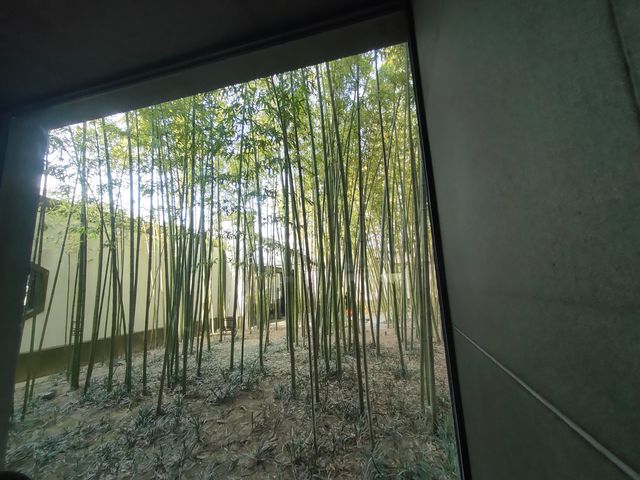 蘇州博物館｜0元拍水墨大片！保姆級攻略